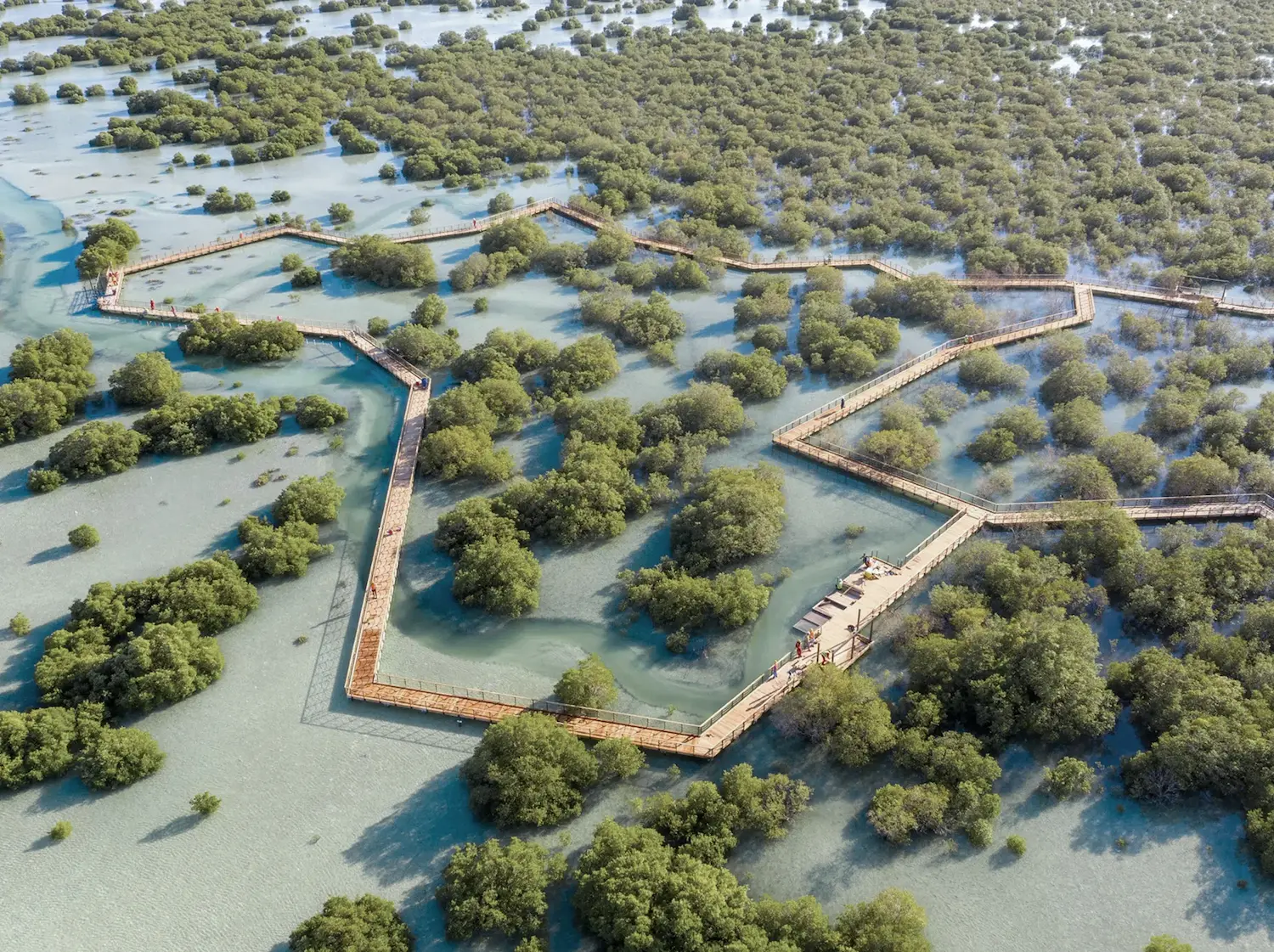Wooden boardwalk through mangrove trees at Jubail Mangrove Park on Al Jubail Island