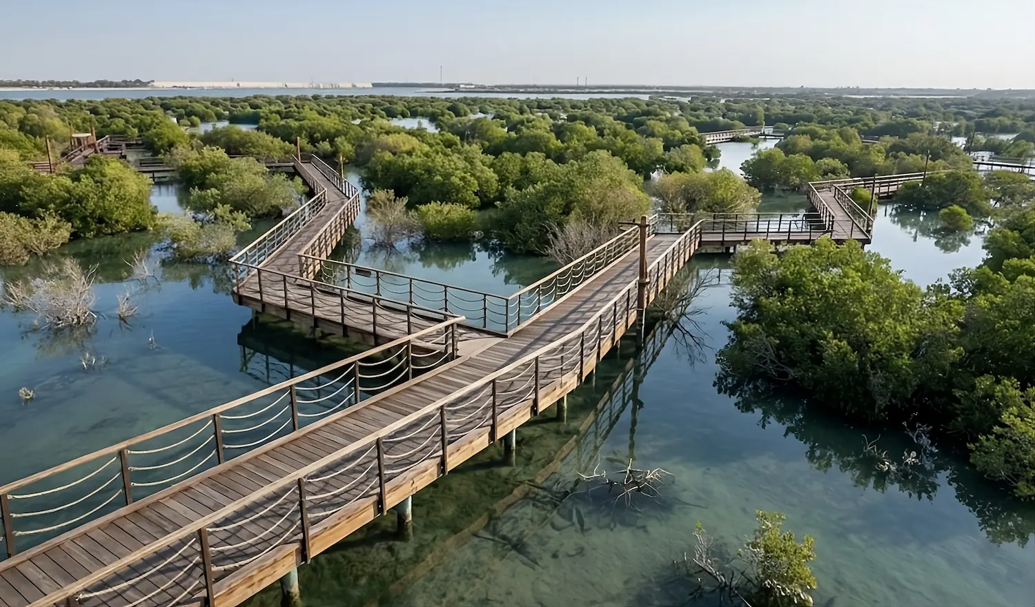 Wooden boardwalk at Jubail Mangrove Park on Al Jubail Island surrounded by mangrove trees